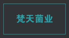 食品行業工作服設計款式